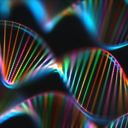Rendering of several rainbow-coloured DNA helixes