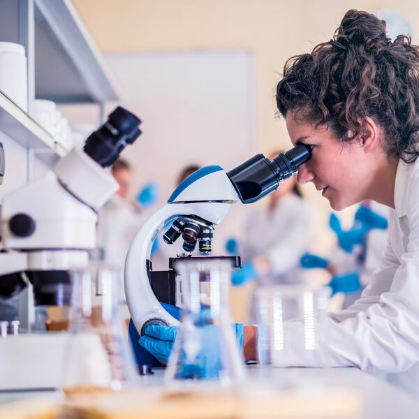 Header Research 2024 10 29 072046 wlbl